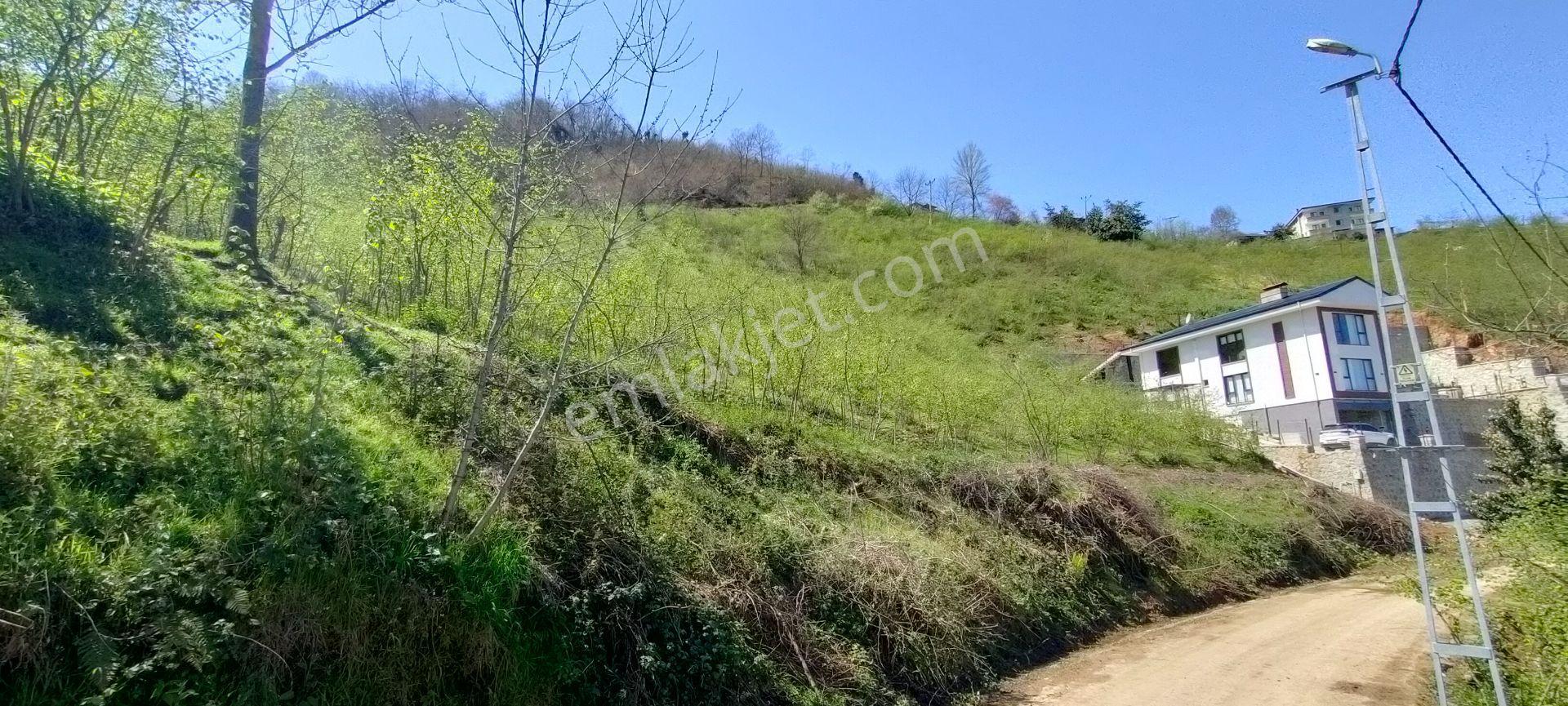 Ortahisar Gündoğdu Mah.de Satılık Süper Manzaralı Fındıklık Arazi - Görsel 3