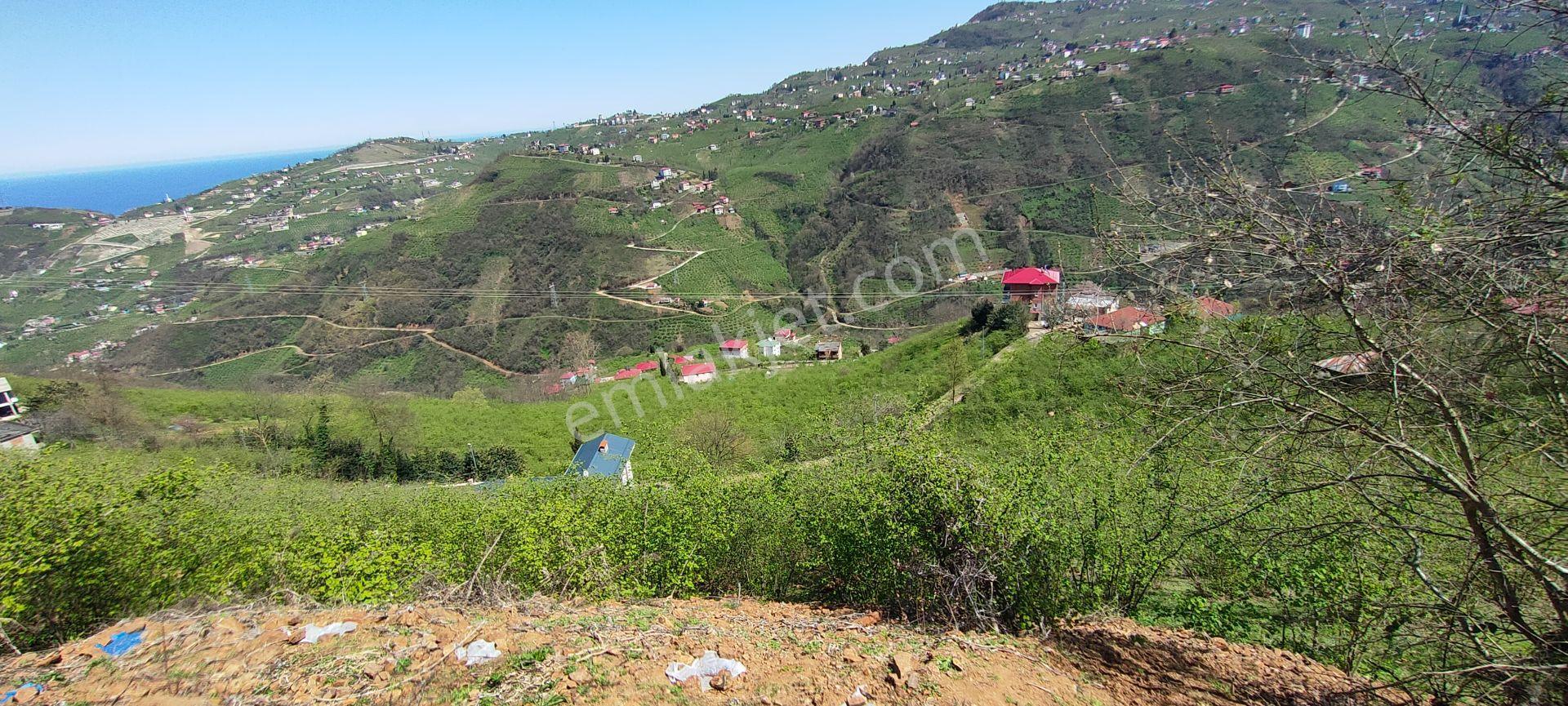 Ortahisar Gündoğdu Mah.de Satılık Süper Manzaralı Fındıklık Arazi - Görsel 30
