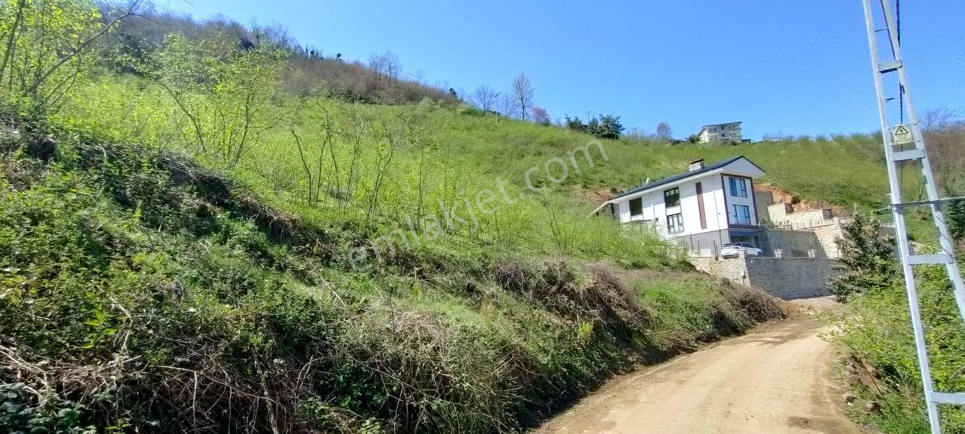 Ortahisar Gündoğdu Mah.de Satılık Süper Manzaralı Fındıklık Arazi - Görsel 5
