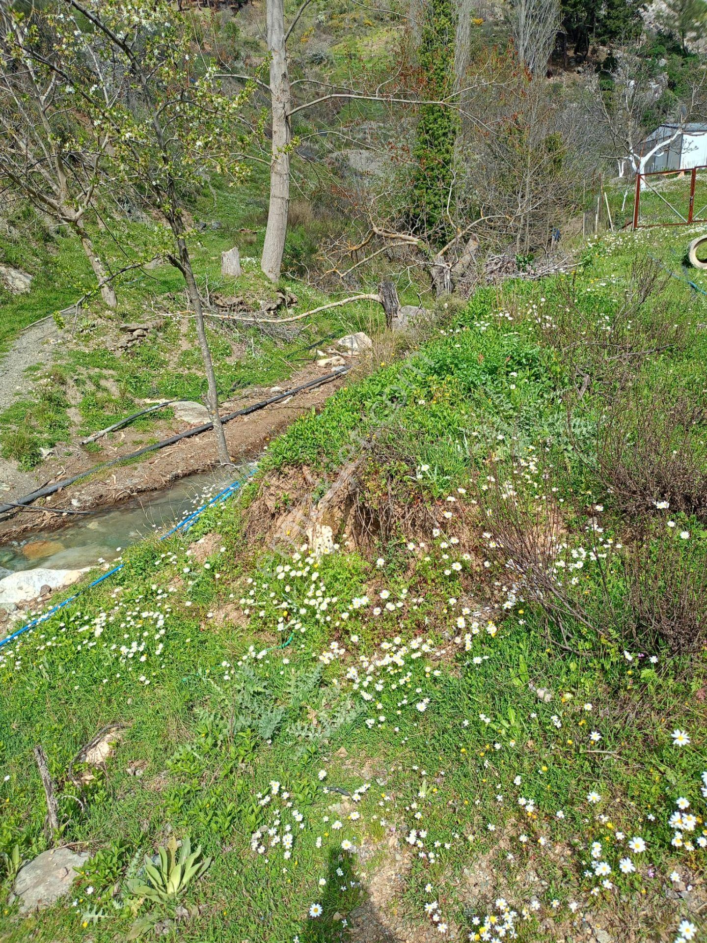 Kavacık Köyüne Yakın Acil Satılık Tek Tapu 817 M.kare Tarla - Görsel 4