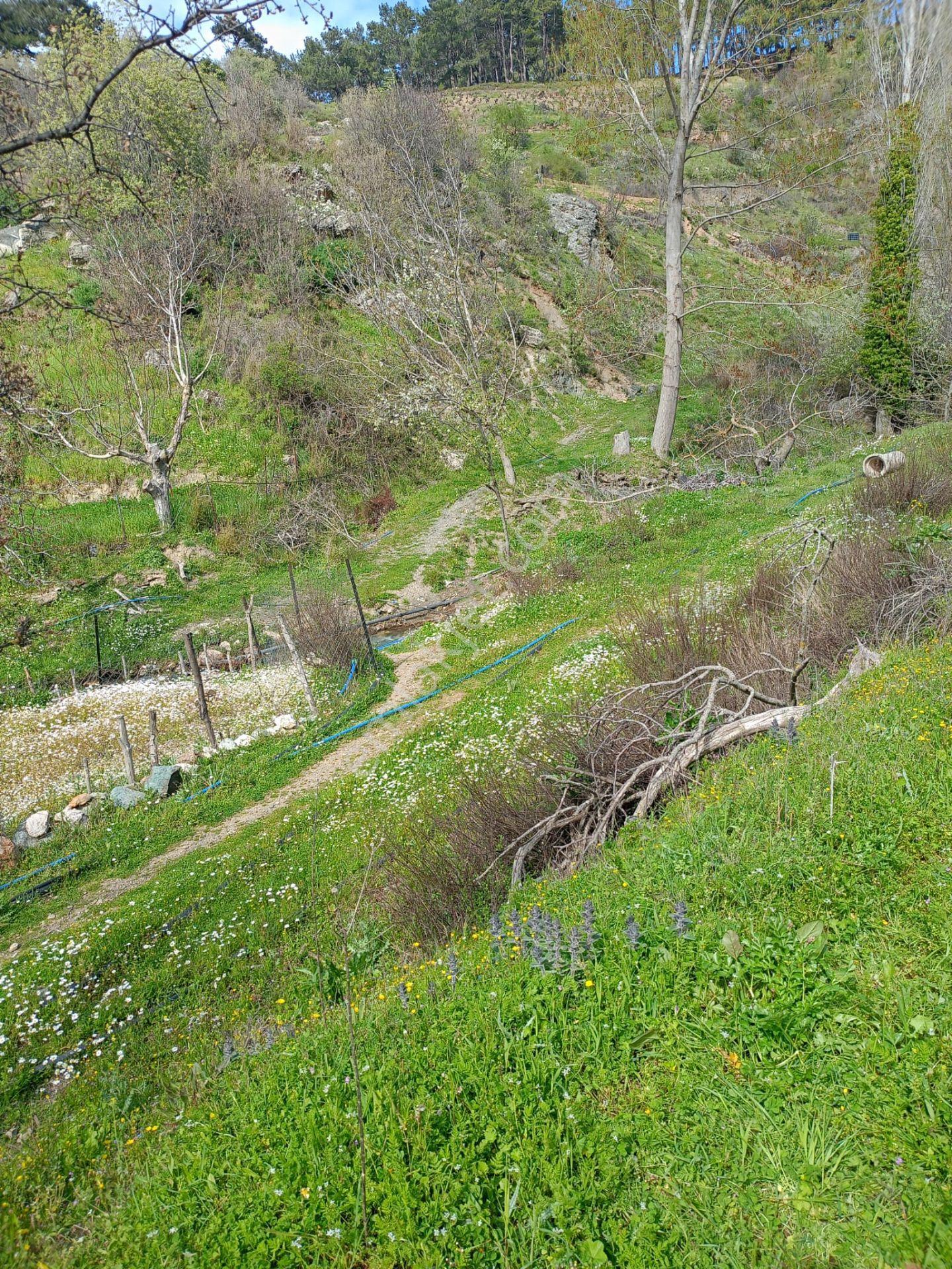 Kavacık Köyüne Yakın Acil Satılık Tek Tapu 817 M.kare Tarla - Görsel 19
