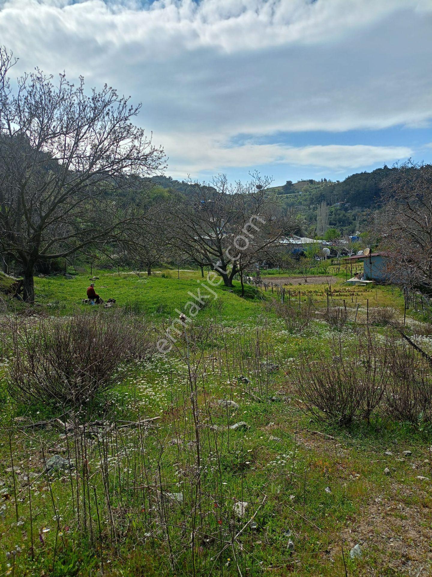 Kavacık Köyüne Yakın Acil Satılık Tek Tapu 817 M.kare Tarla - Görsel 12