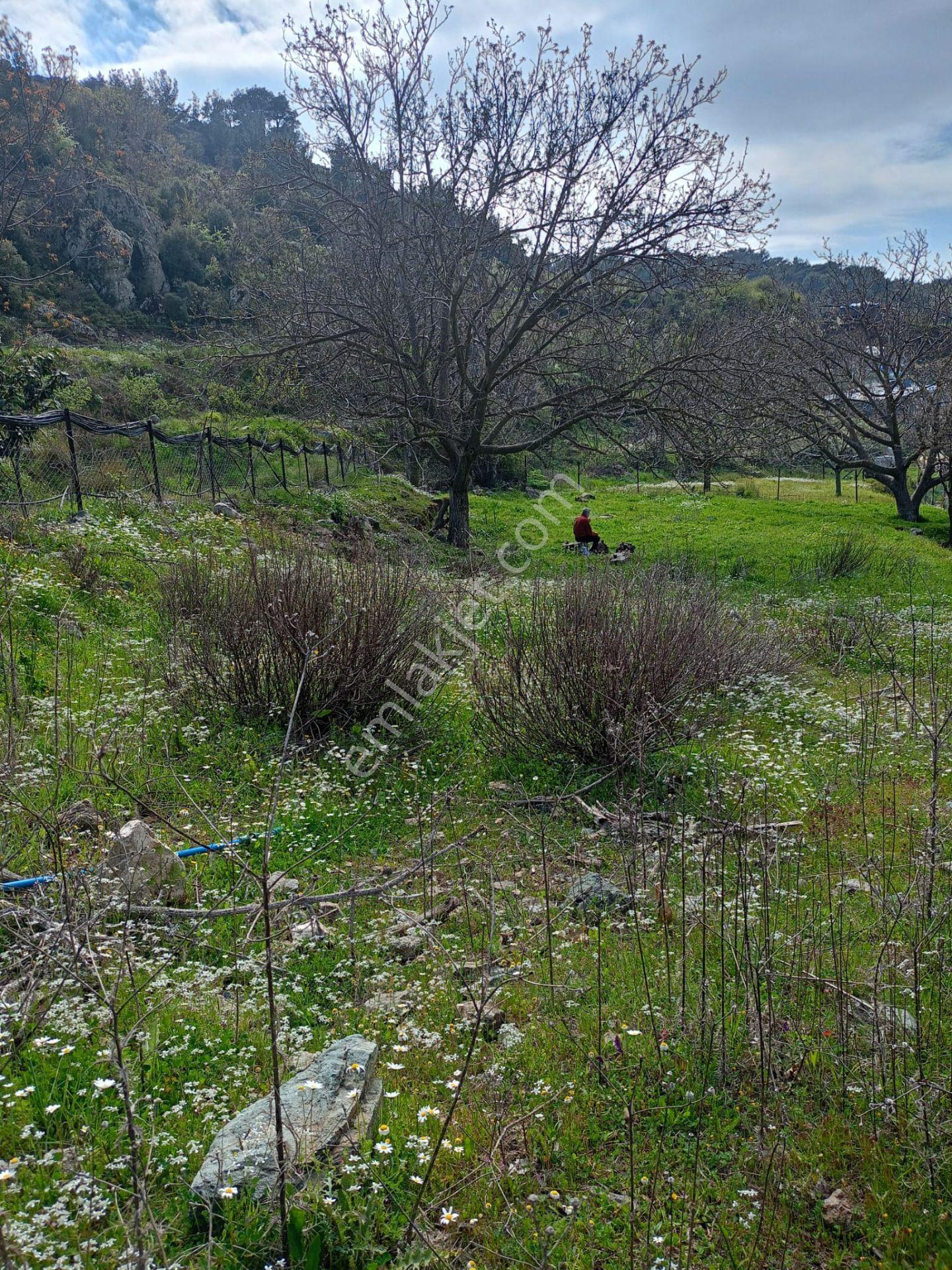 Kavacık Köyüne Yakın Acil Satılık Tek Tapu 817 M.kare Tarla - Görsel 8