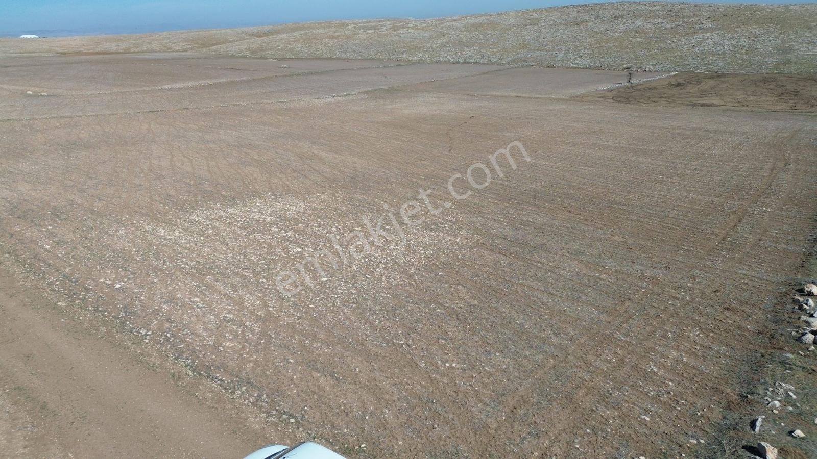 Meram Kayhüyük'de 8.303 M² Müstakil Tapulu Tarla - Görsel 10