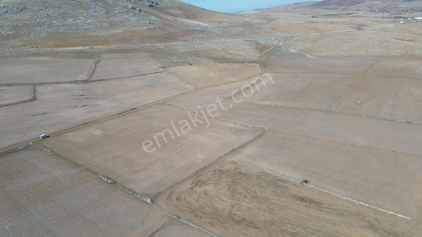 Meram Kayhüyük'de 8.303 M² Müstakil Tapulu Tarla - Görsel 3