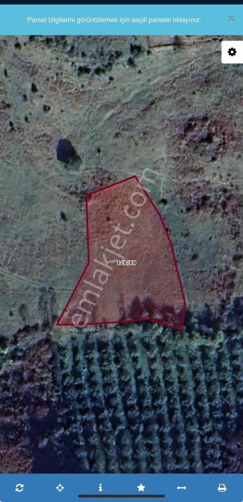 Remax Anka'dan Satılık Kandırada Tek Tapulu Tarla - Görsel 2