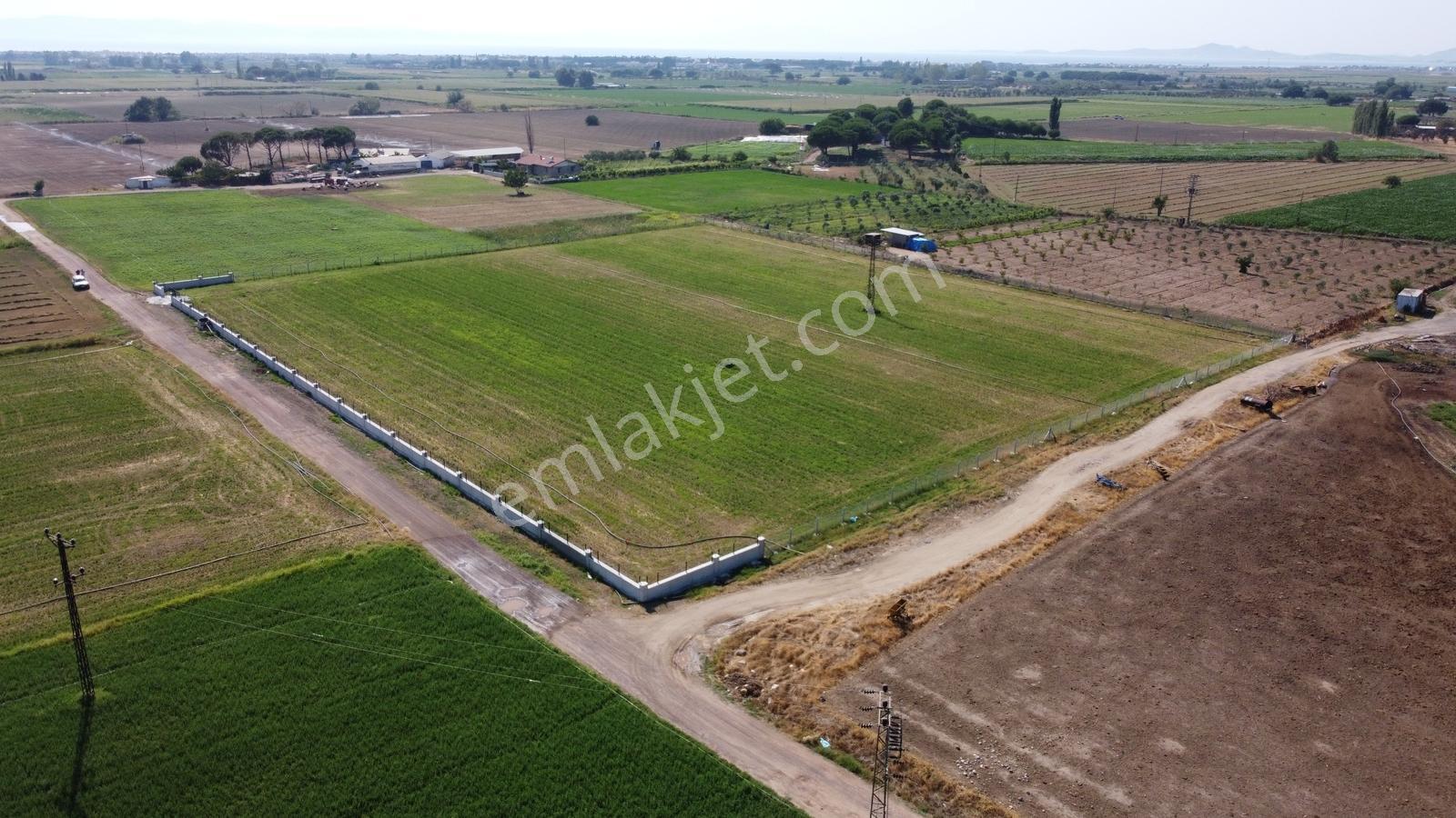 Altınovada Satılık Müstakil 13,282m2 Köşe Parsel Tarla - Görsel 3