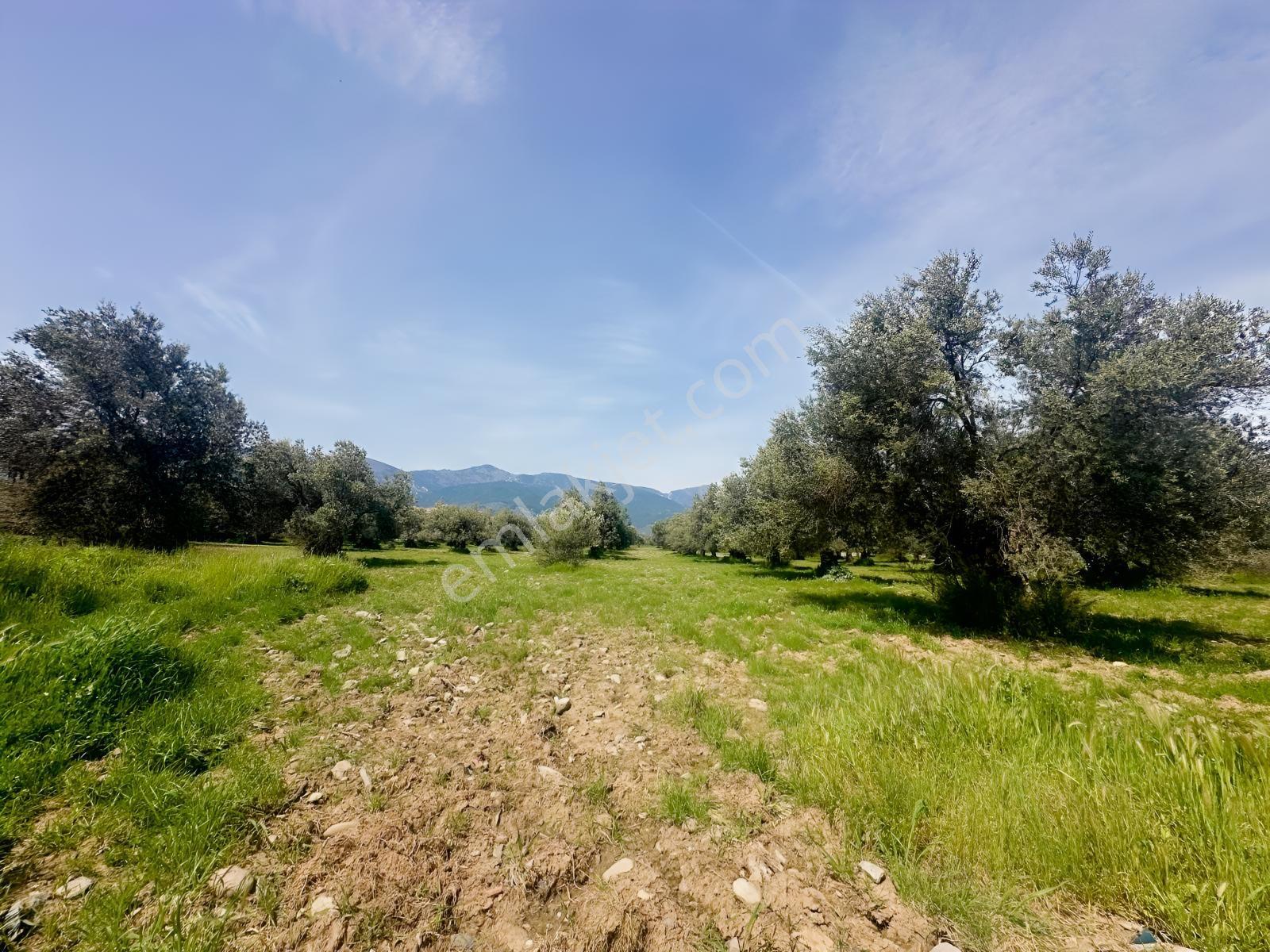 Kavuşturan Emlak'tan Akçay Güre Satılık %25 İmarlı 409 M2 Arsa - Görsel 27