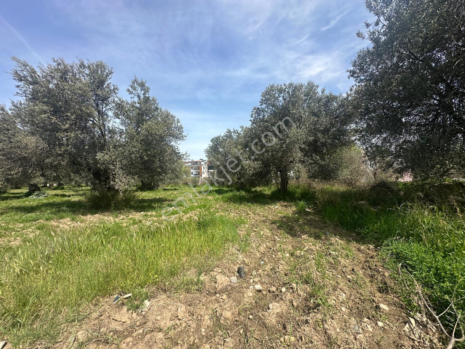 Kavuşturan Emlak'tan Akçay Güre Satılık %25 İmarlı 409 M2 Arsa - Görsel 26