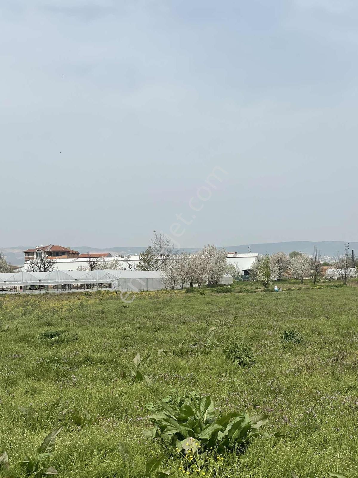 Nezır Gm Den Çeltikçi Mahallesinde İmar Dibi Satılık Tarla - Görsel 3