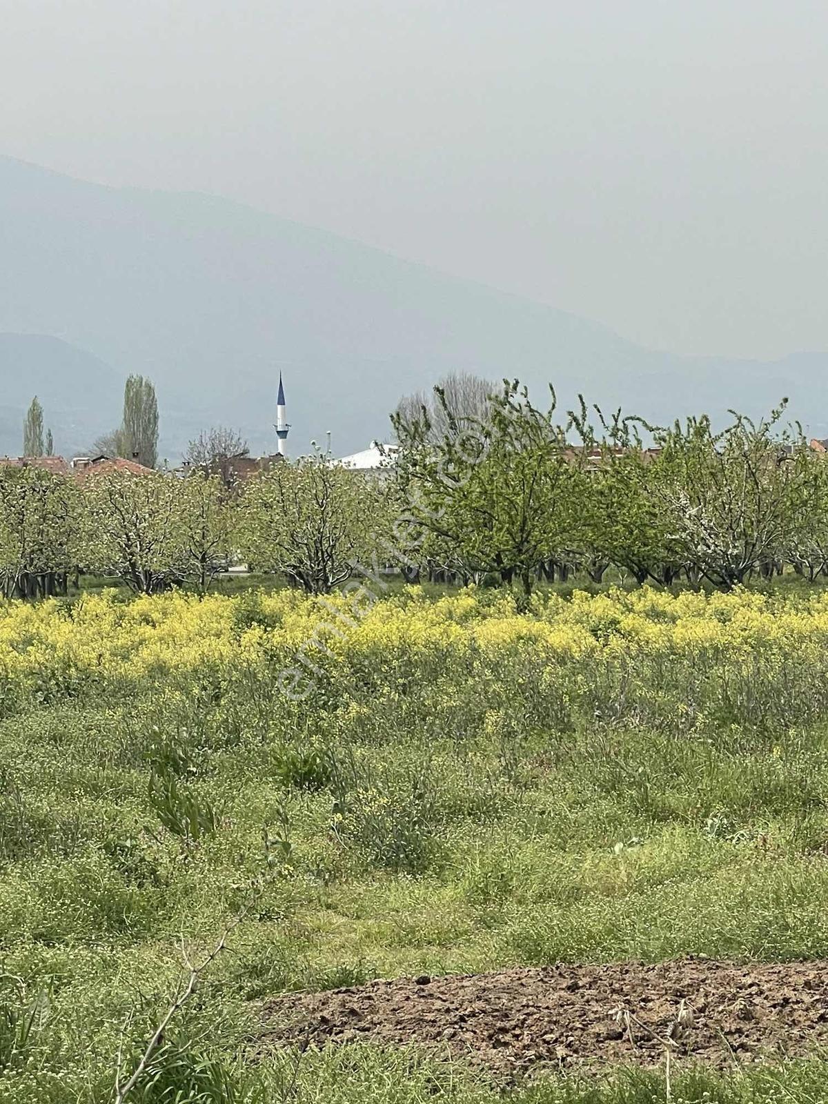 Nezır Gm Den Çeltikçi Mahallesinde İmar Dibi Satılık Tarla - Görsel 15