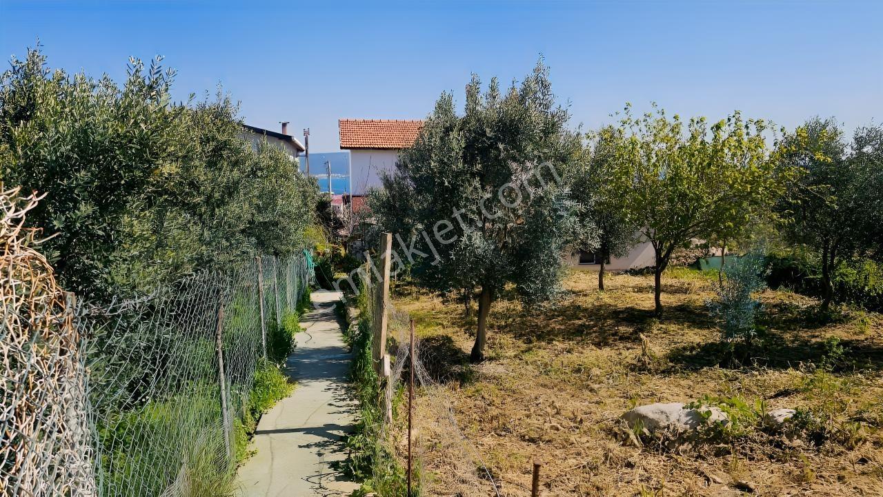 İzmir Urla Gülbahçe Karapınar Satılık Müstakil Dubleks Villa Ev - Görsel 32