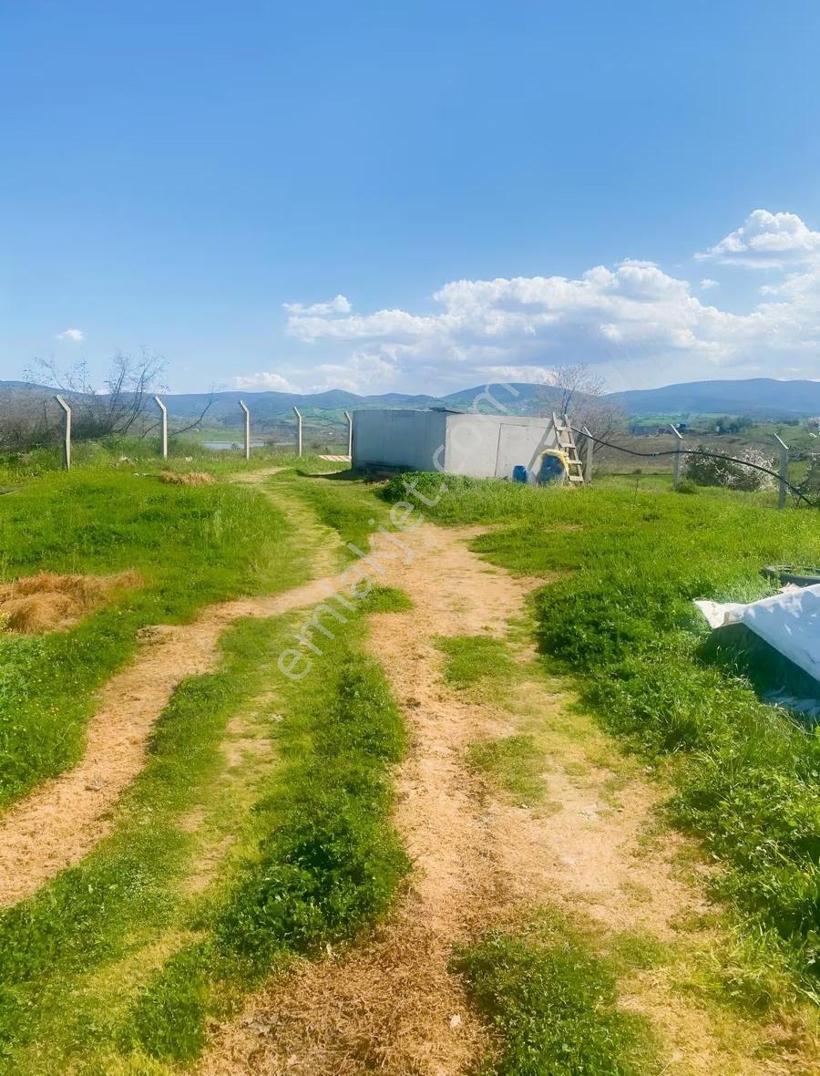 Ram'den Selimiye'de Betonarme Evli, Ceviz Ve Meyve Ağaçlı Arazi - Görsel 18