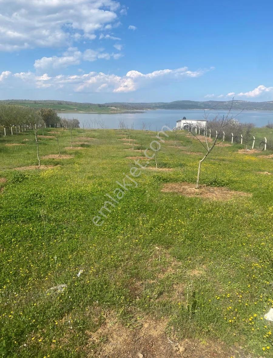Ram'den Selimiye'de Betonarme Evli, Ceviz Ve Meyve Ağaçlı Arazi - Görsel 5