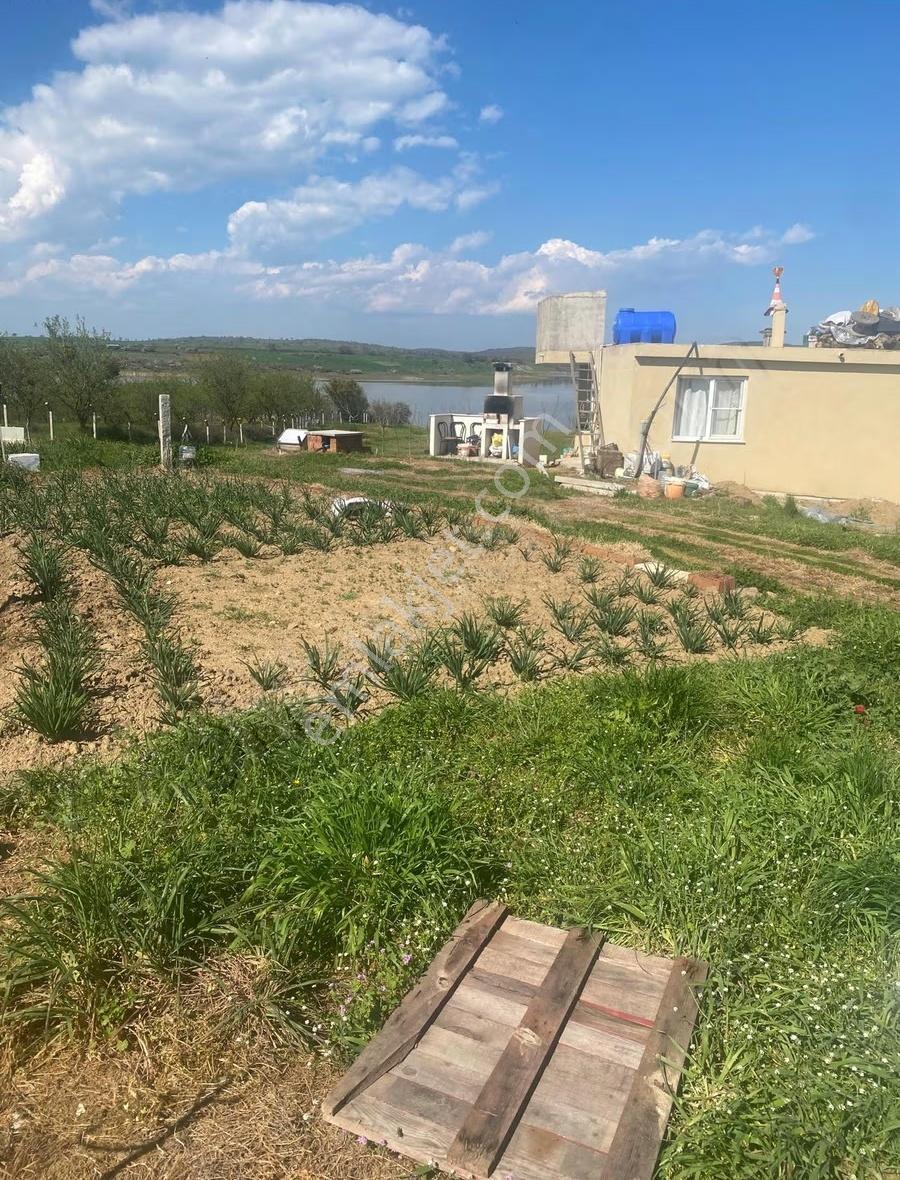 Ram'den Selimiye'de Betonarme Evli, Ceviz Ve Meyve Ağaçlı Arazi - Görsel 16