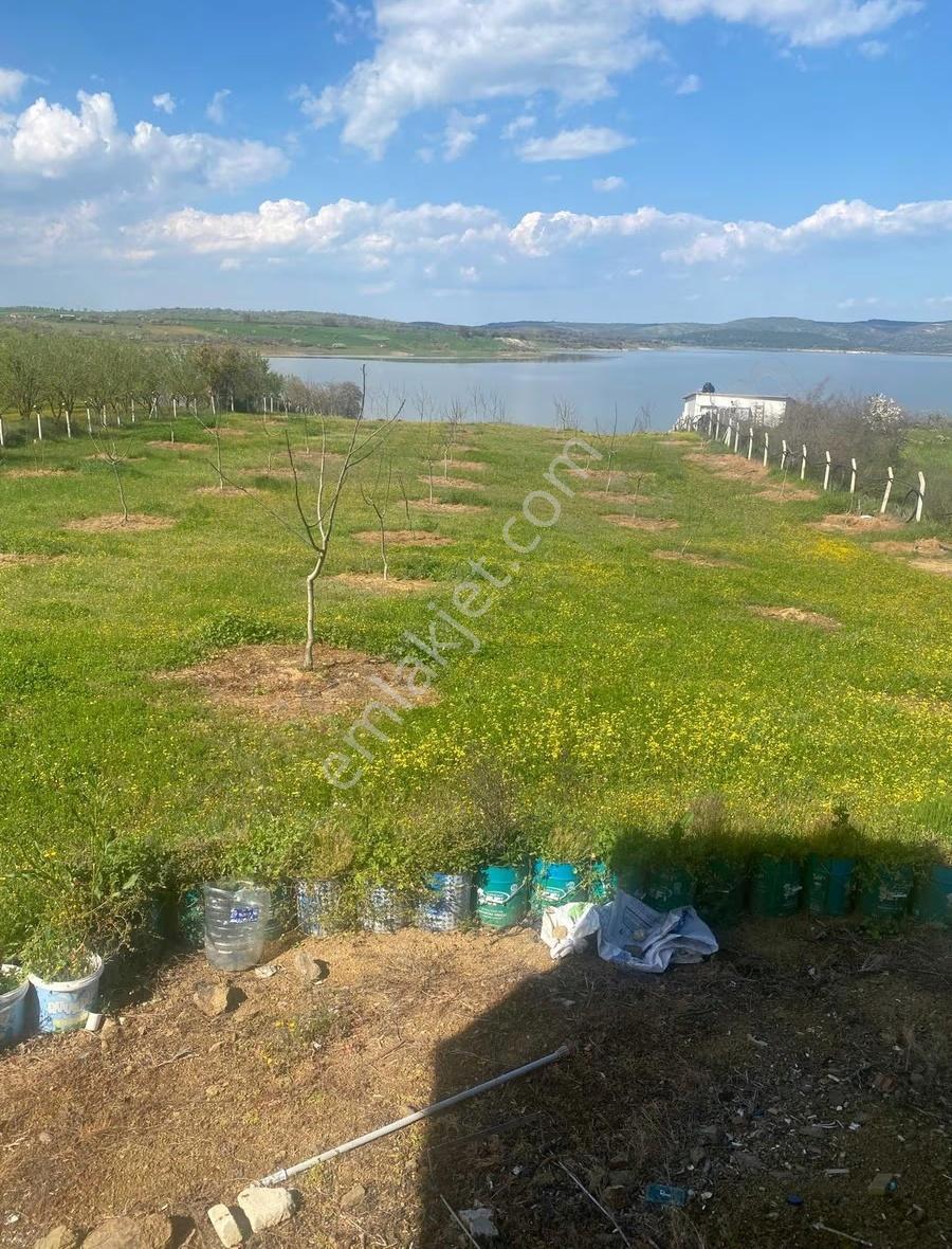 Ram'den Selimiye'de Betonarme Evli, Ceviz Ve Meyve Ağaçlı Arazi - Görsel 35