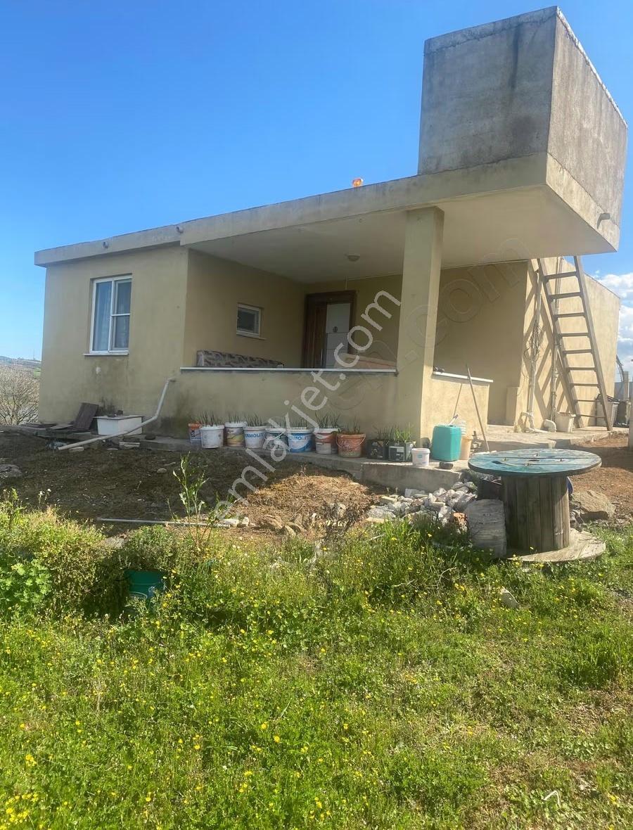Ram'den Selimiye'de Betonarme Evli, Ceviz Ve Meyve Ağaçlı Arazi - Görsel 15