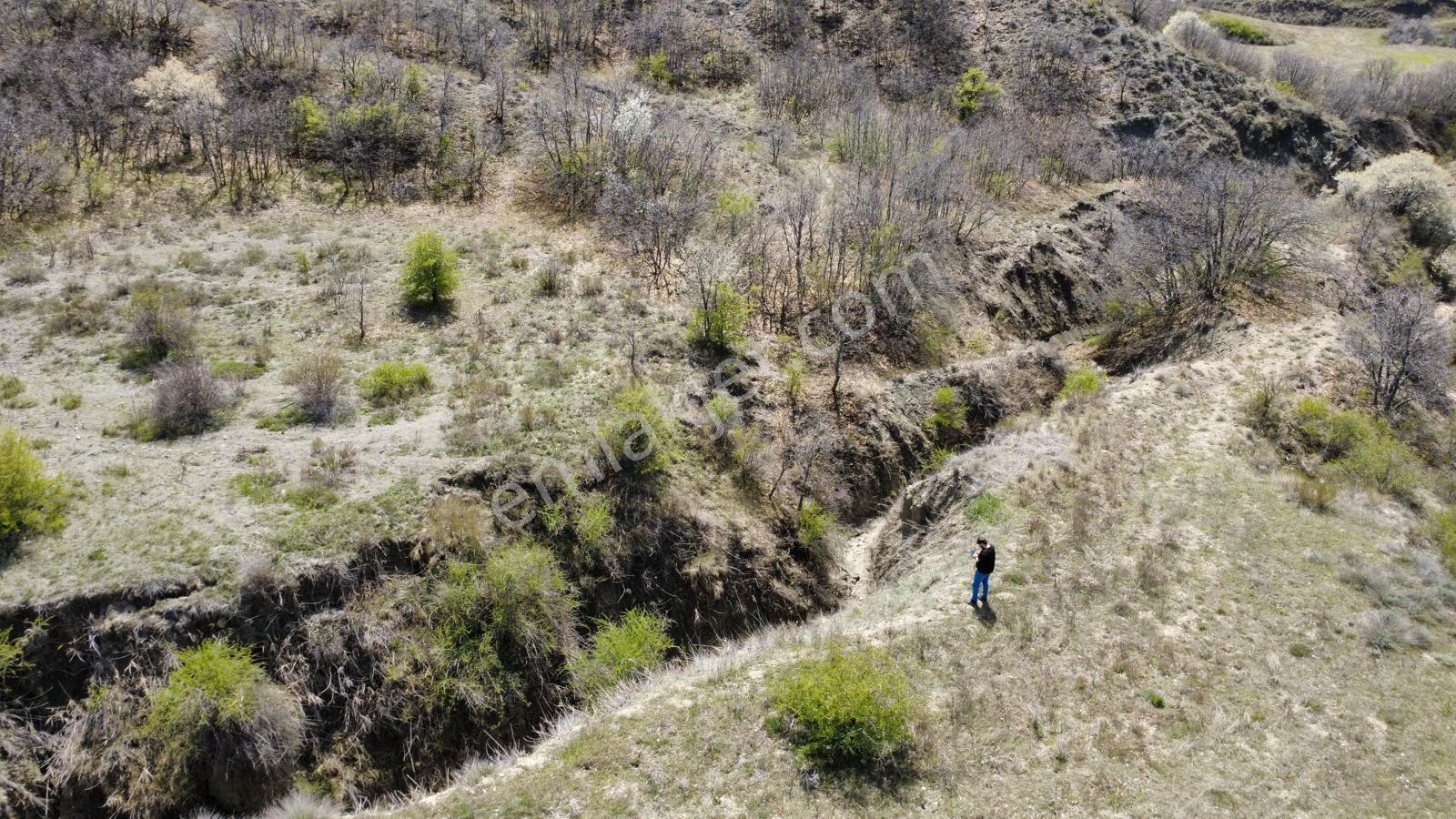 Çorum Sungurlu Oğlaközü Köyünde Satılık Tarla - Görsel 16