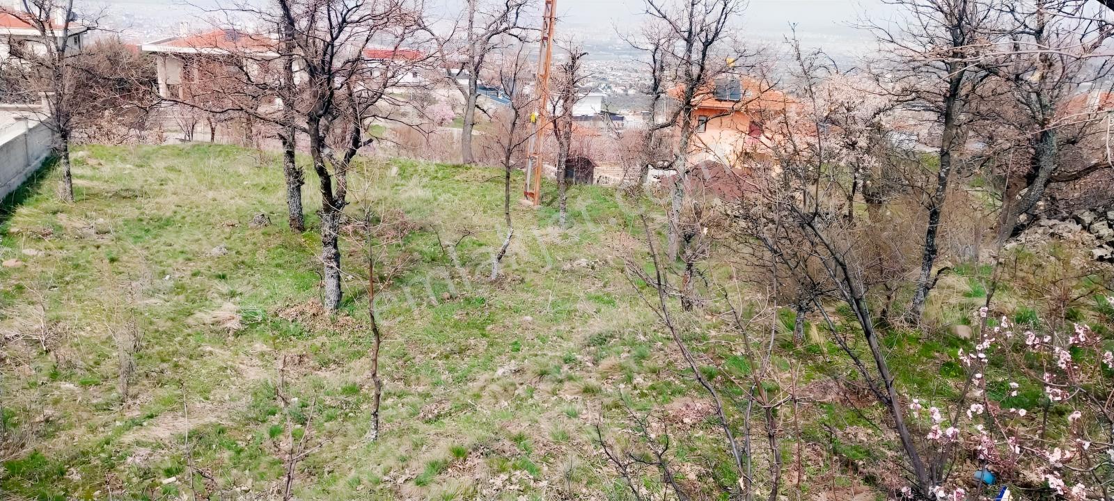 Hacılar Armutlukda 858m2 Tek Tapu Köşe Başı Ticari İmarlı Parsel - Görsel 4