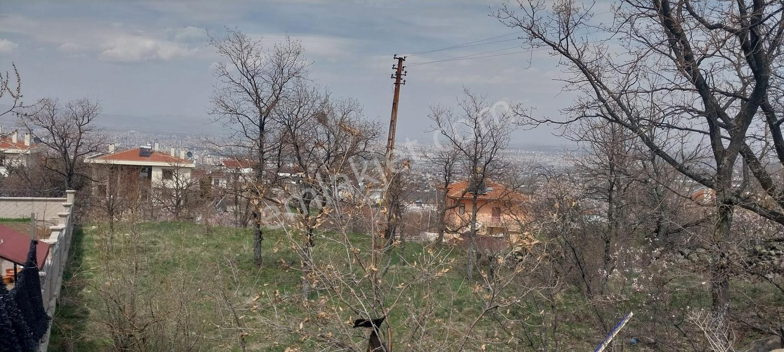 Hacılar Armutlukda 858m2 Tek Tapu Köşe Başı Ticari İmarlı Parsel - Görsel 14