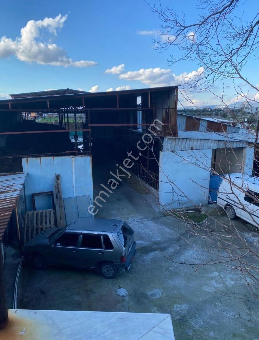 Saruhanlıda Satılık Bağ Ev Ve Çiftlik - Görsel 28