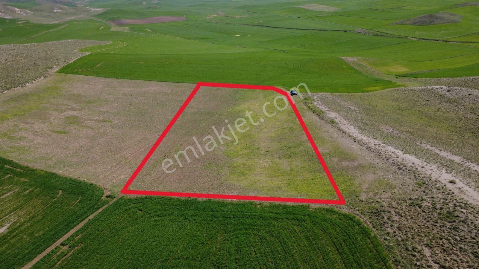 Çorum Sungurlu Akpınar Köyünde Satılık Tarla - Görsel 8