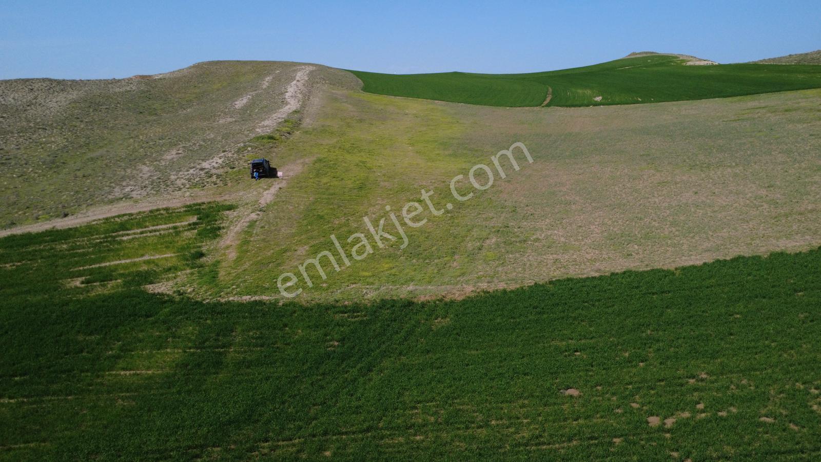 Çorum Sungurlu Akpınar Köyünde Satılık Tarla - Görsel 10