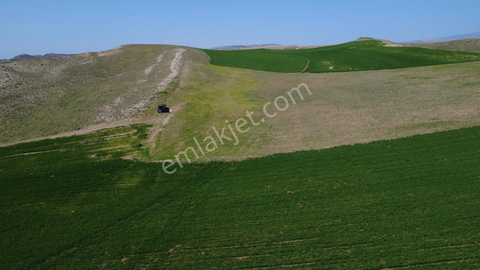 Çorum Sungurlu Akpınar Köyünde Satılık Tarla - Görsel 15