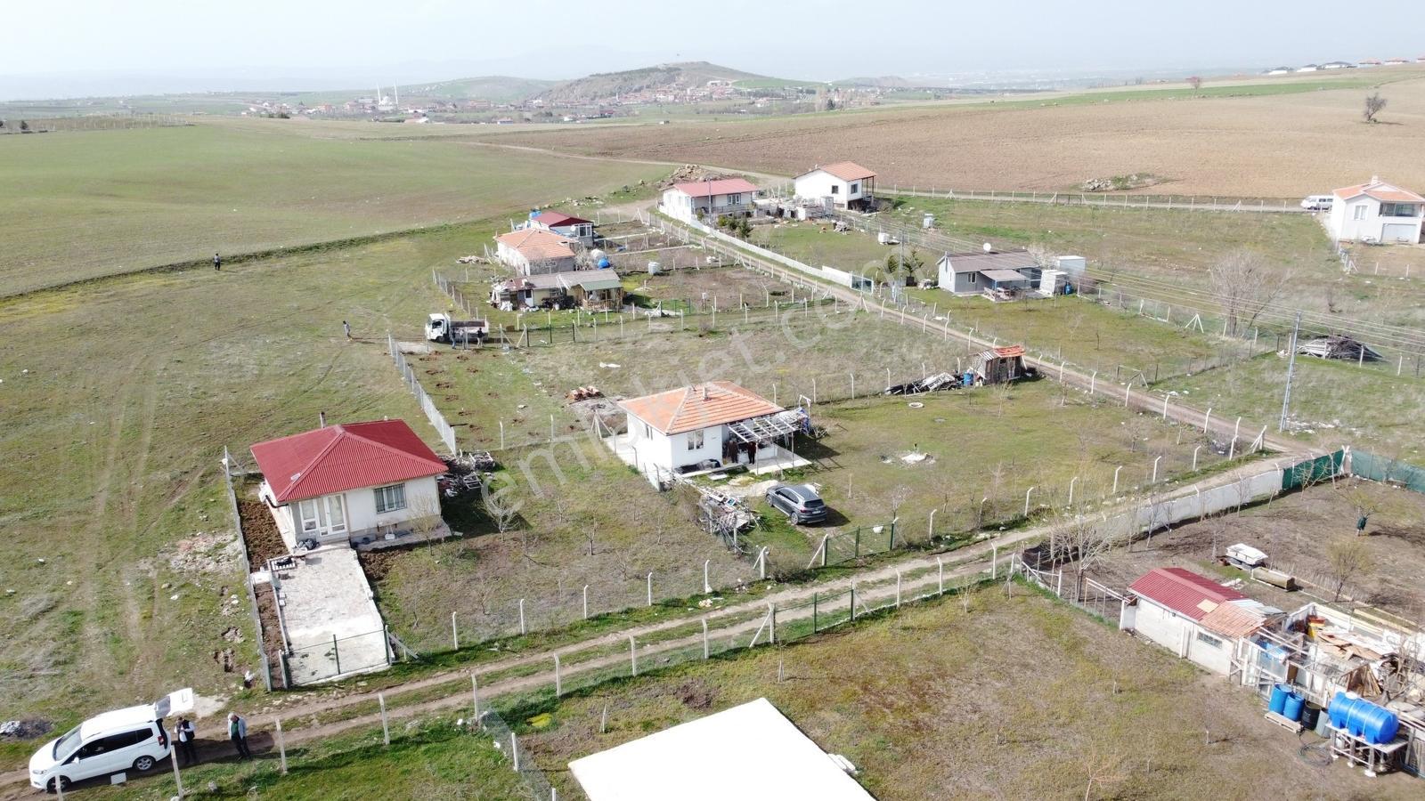 **sakızağacında Bahçelerin İçinde Bulunmaz Bahçe** - Görsel 6