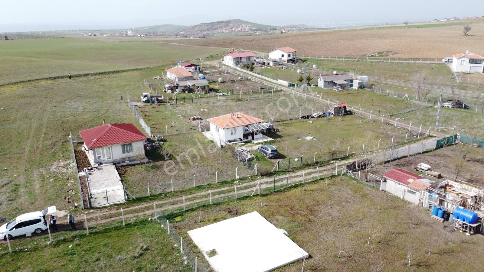 **sakızağacında Bahçelerin İçinde Bulunmaz Bahçe** - Görsel 12