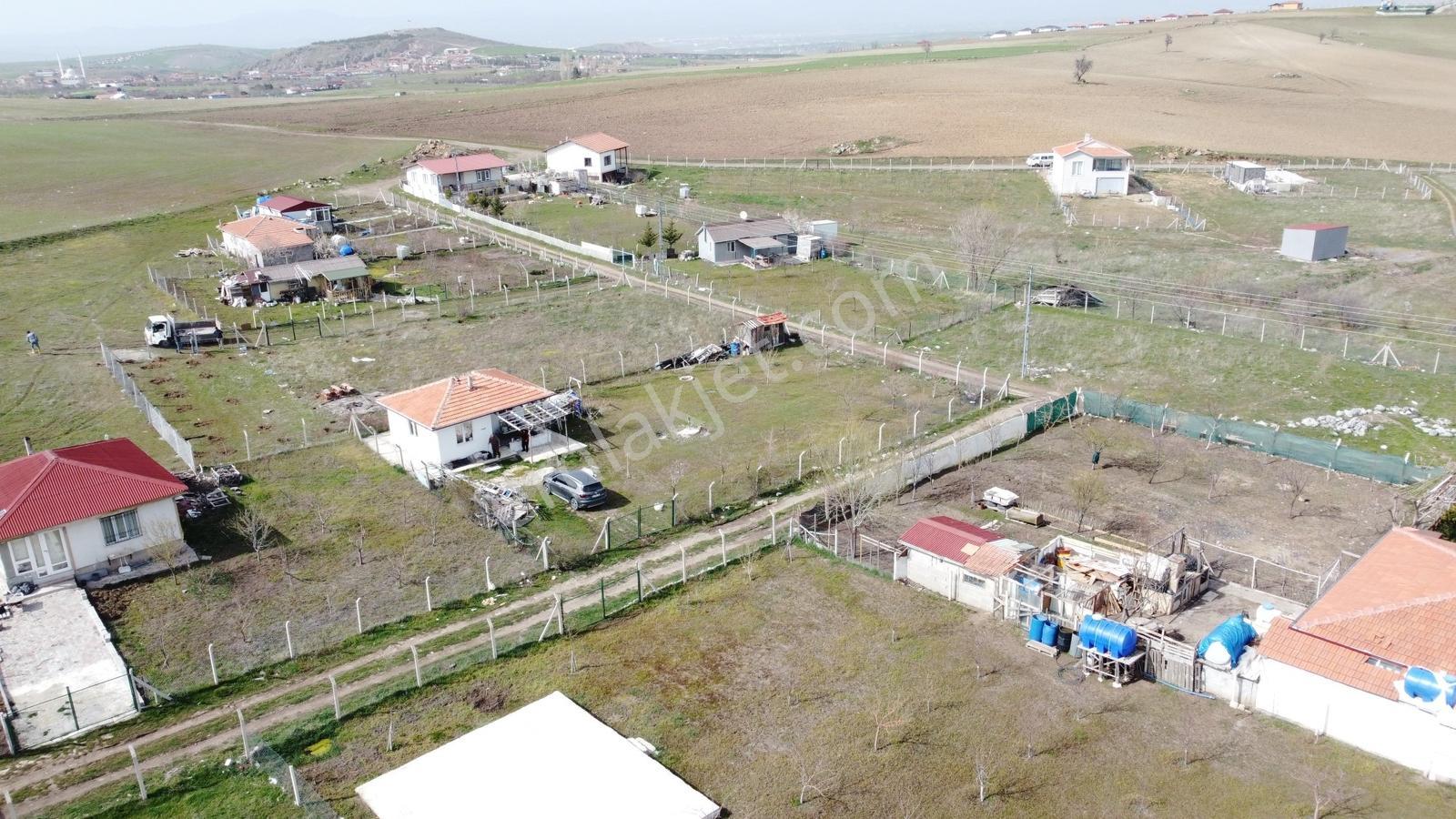**sakızağacında Bahçelerin İçinde Bulunmaz Bahçe** - Görsel 8