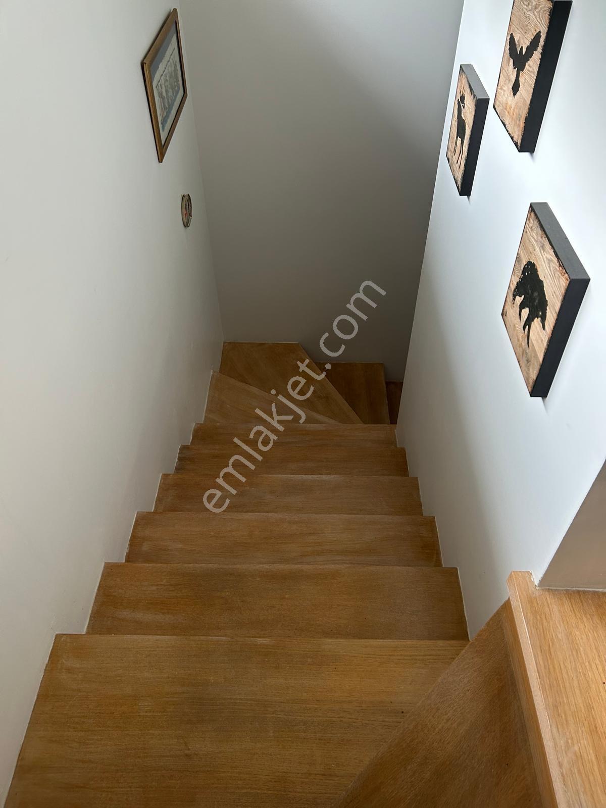 Gölköy Cennet Koyuna Çok Yakın Müstakil Havuzlu Villa Kiralık - Görsel 22