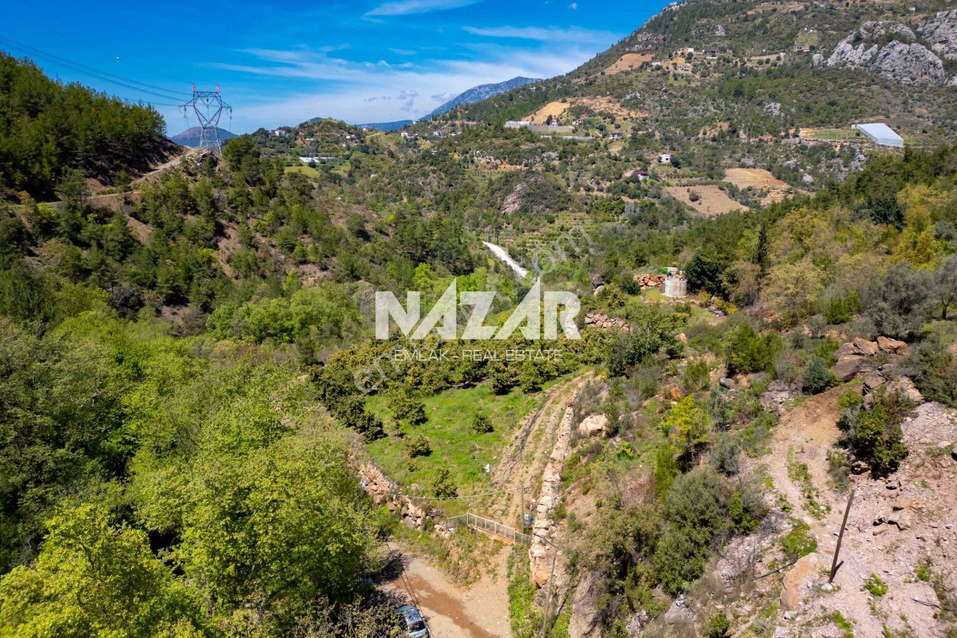 Alanya Çamlıca’da 5.605 M² Satılık Tarla – Avokado Bahçesi - Görsel 10