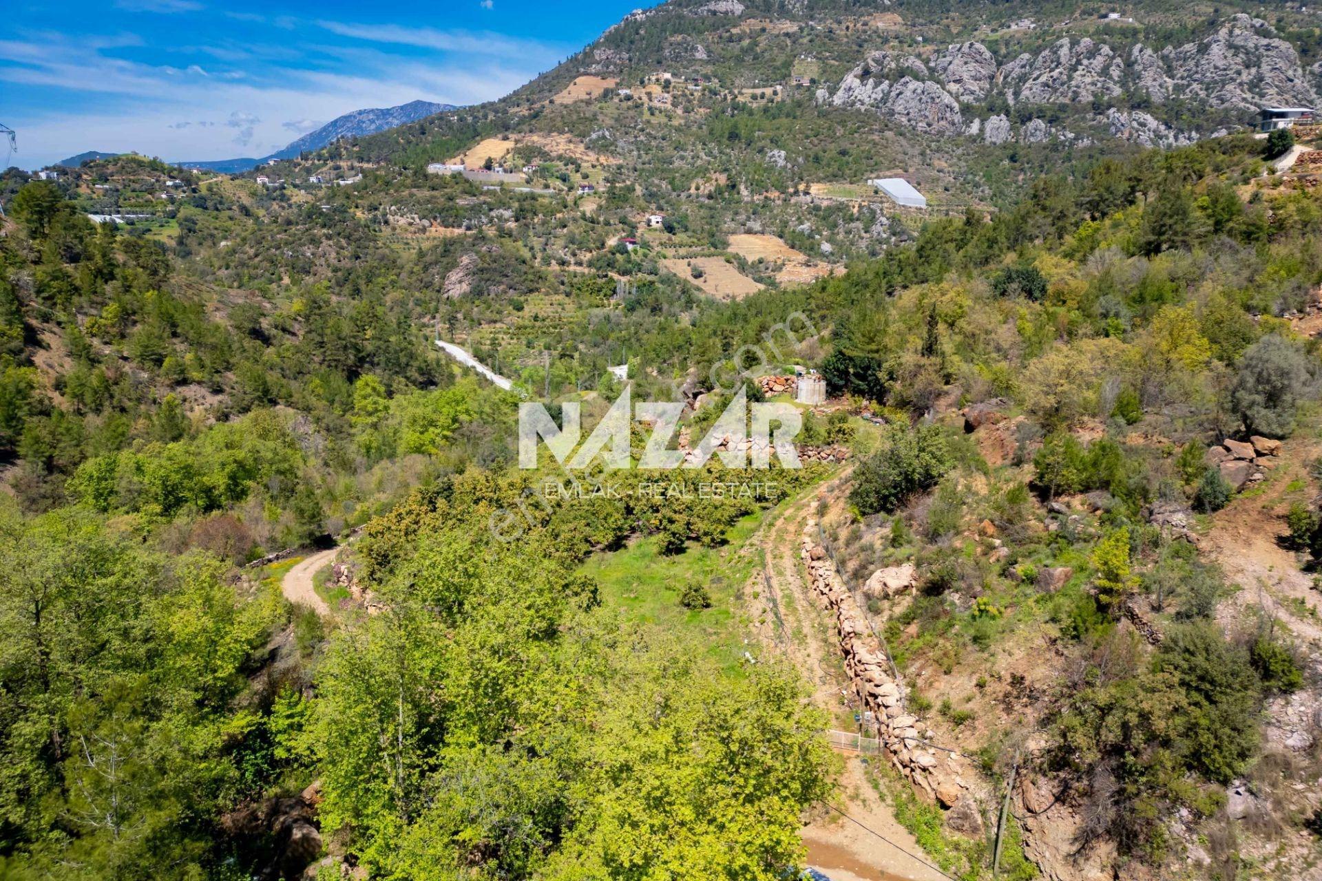 Alanya Çamlıca’da 5.605 M² Satılık Tarla – Avokado Bahçesi - Görsel 9