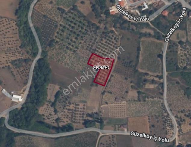 Varlı Kent'ten Şarköy'de İmara Sınır Denize Yakın 2.5 Dönüm Bağ - Görsel 4