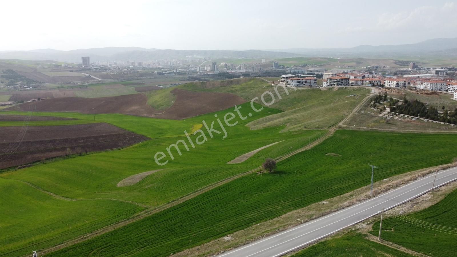 *-peçenek Te 850 Metre Tapulu Manzaralı Uygun Bahçe-* - Görsel 35