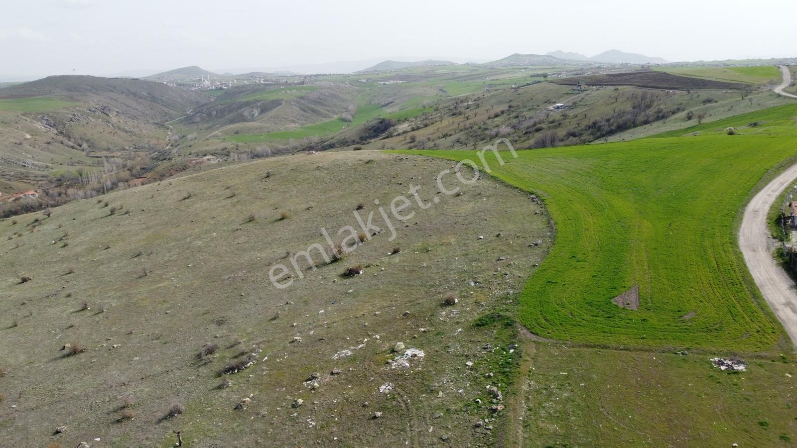 *-peçenek Te 850 Metre Tapulu Manzaralı Uygun Bahçe-* - Görsel 6