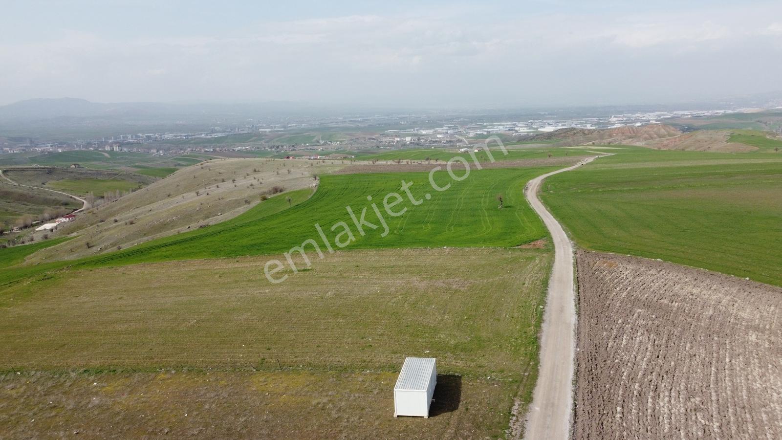 *-peçenek Te 850 Metre Tapulu Manzaralı Uygun Bahçe-* - Görsel 13