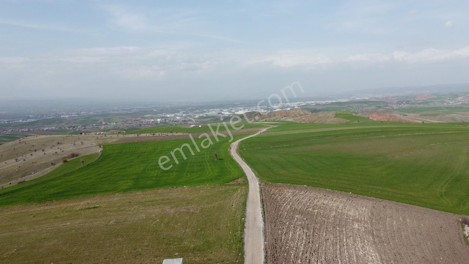 *-peçenek Te 850 Metre Tapulu Manzaralı Uygun Bahçe-* - Görsel 12