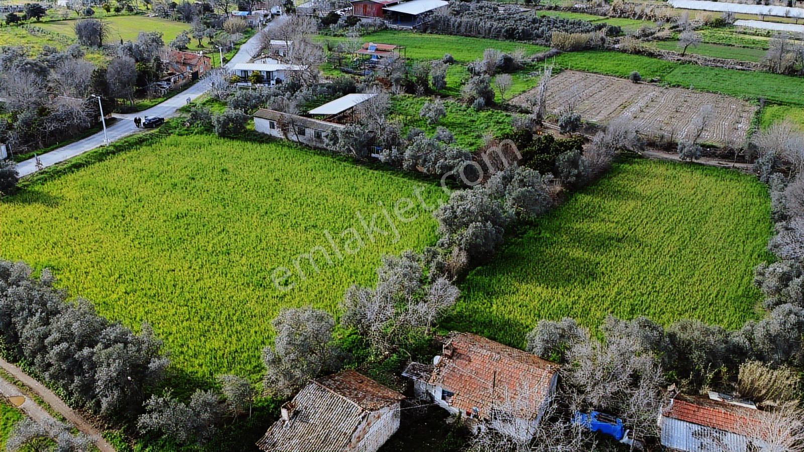 Sultanhisar Eskihisarda 5.660 M2 Satılık Arsa - Görsel 2