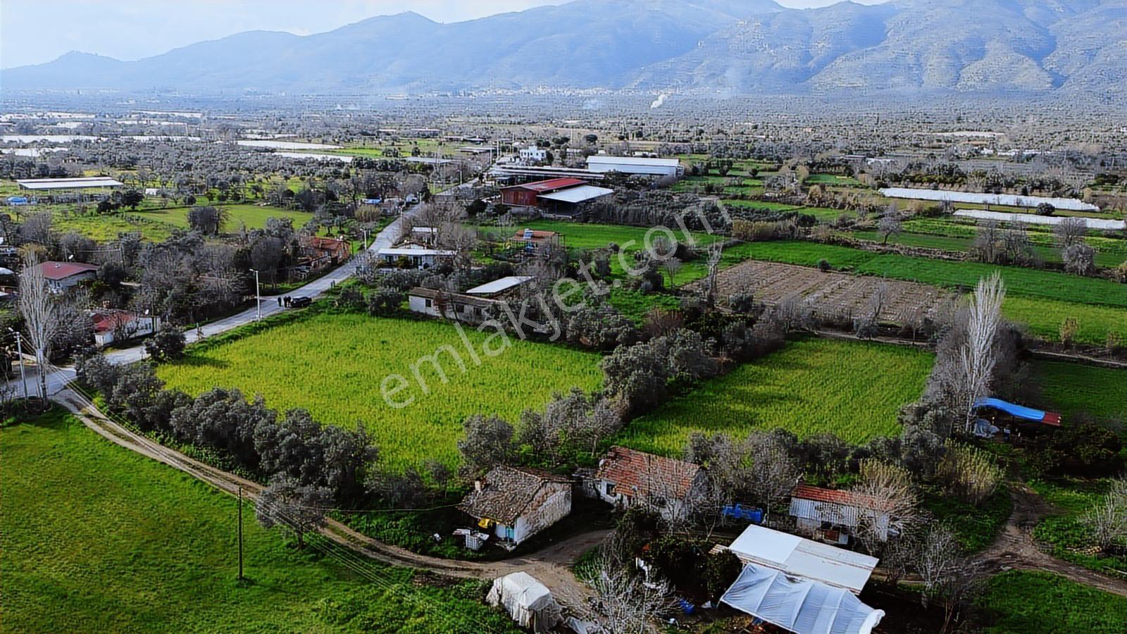 Sultanhisar Eskihisarda 5.660 M2 Satılık Arsa - Görsel 7
