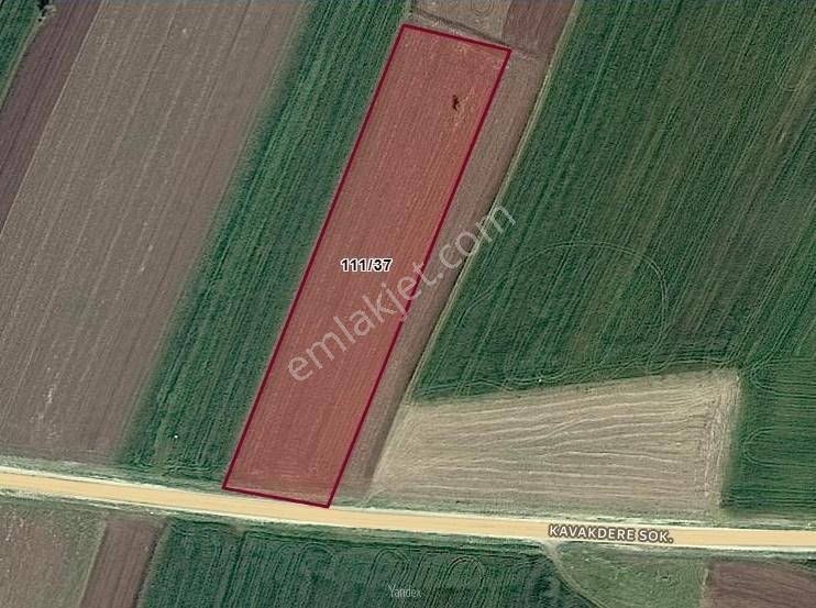 Lüleburgaz Sakızköyde Asfalta Cephe - Merkeze Yakın 8.735 M² - Görsel 7
