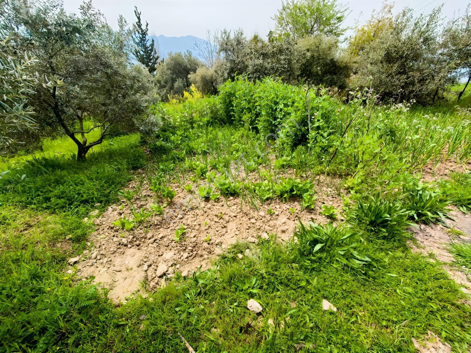 Stoptan Seydikemer Yakaköyde *satılık Tarla* - Görsel 7