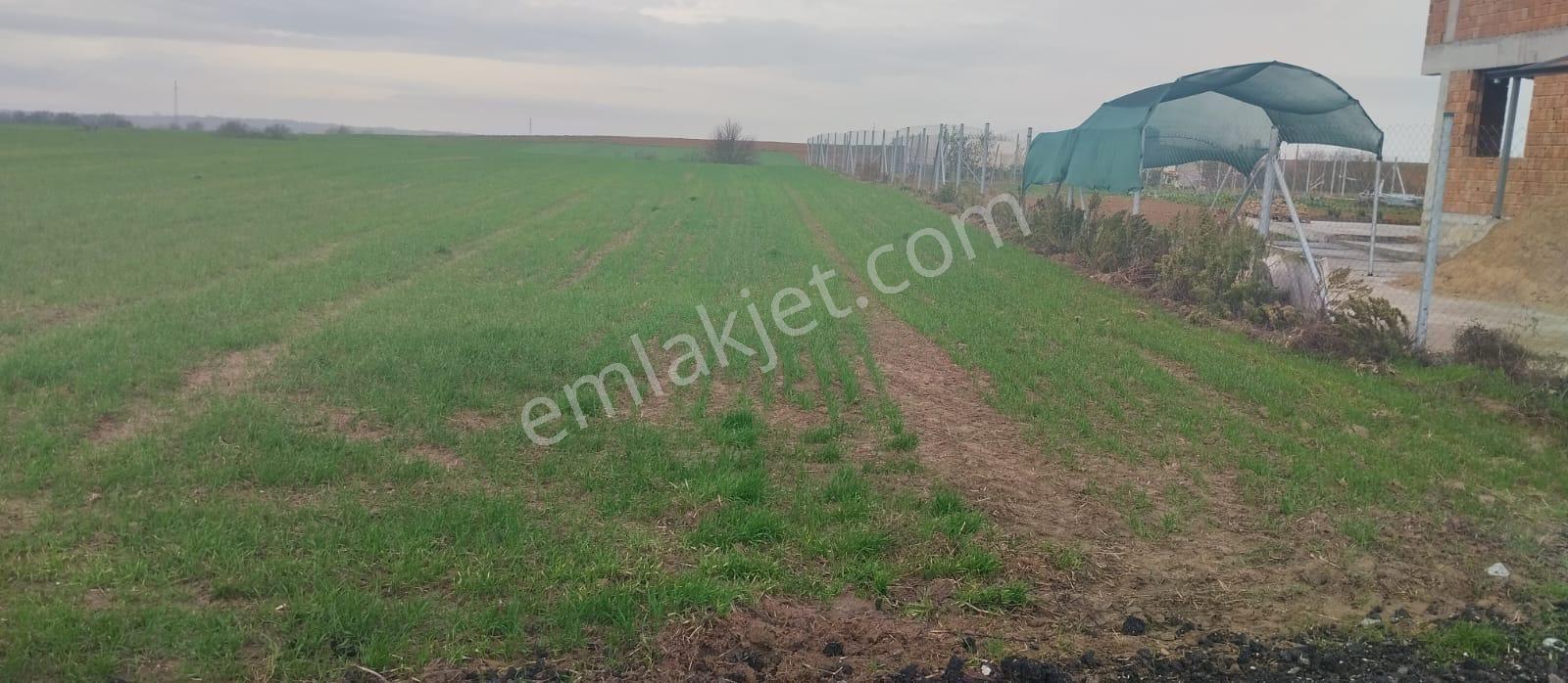 1763 M2 İmarlı Arsa 2.5 Kat İnşaat Altyapı Hazır Kaçmaz Fırsat - Görsel 3