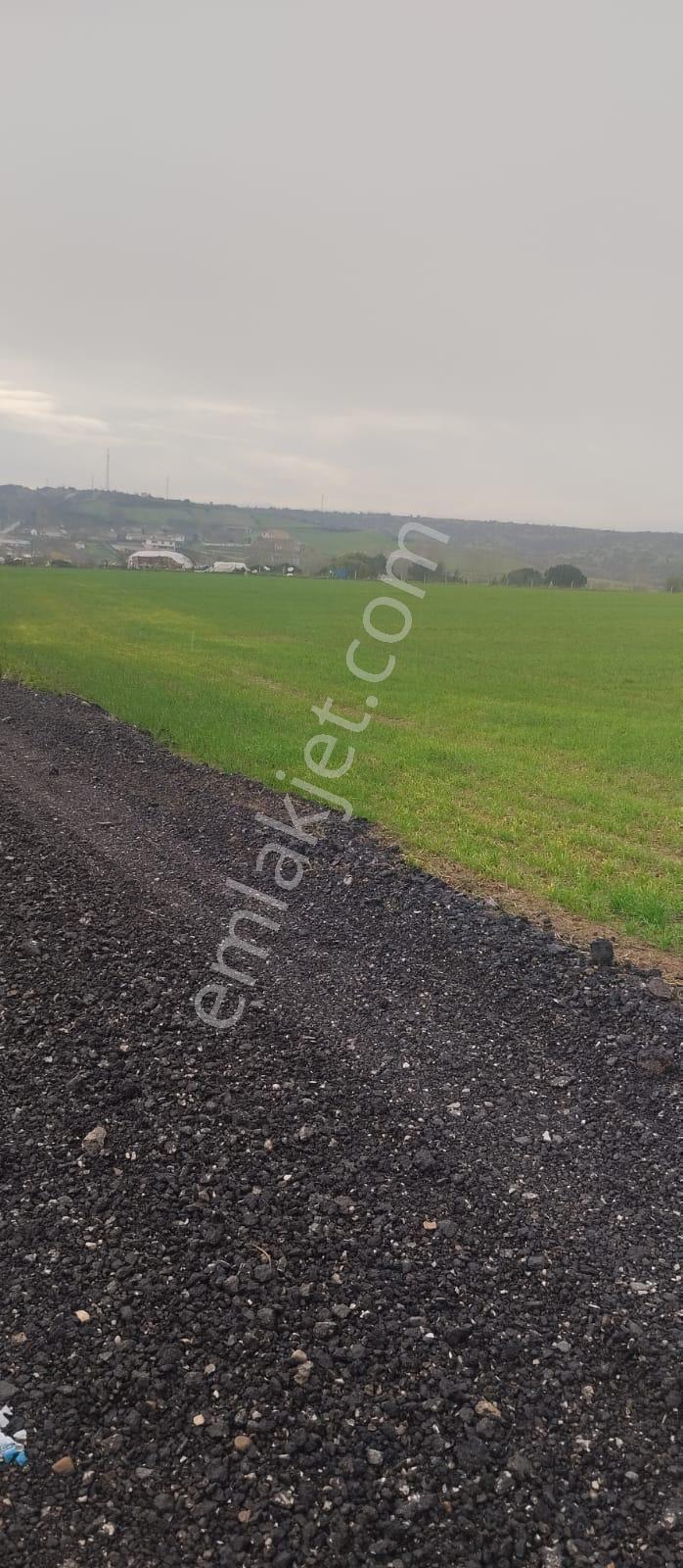 1763 M2 İmarlı Arsa 2.5 Kat İnşaat Altyapı Hazır Kaçmaz Fırsat - Görsel 7