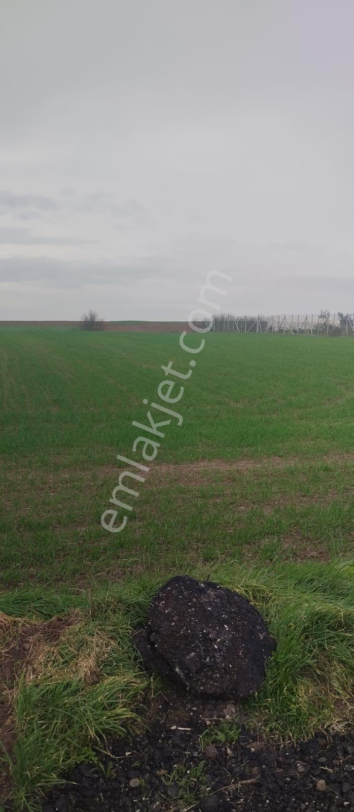 1763 M2 İmarlı Arsa 2.5 Kat İnşaat Altyapı Hazır Kaçmaz Fırsat - Görsel 6