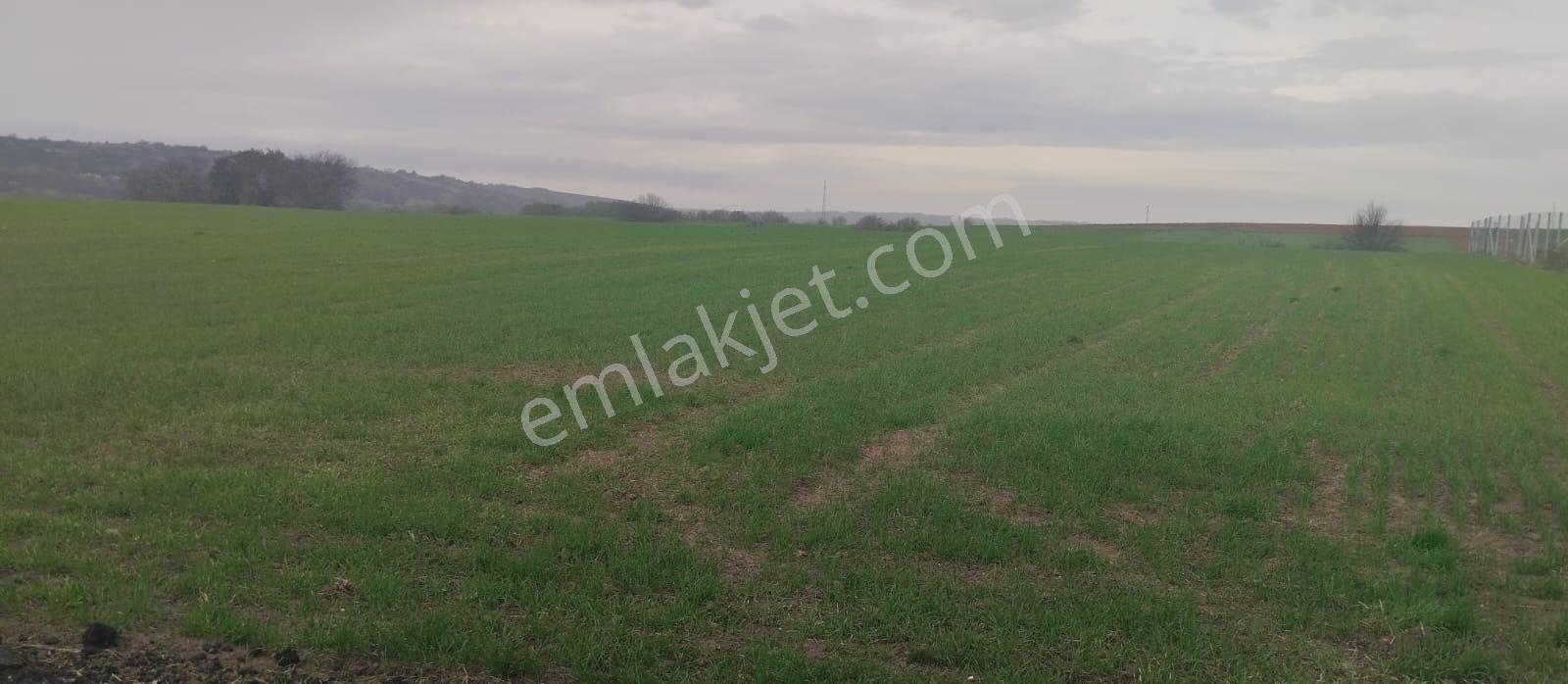 1763 M2 İmarlı Arsa 2.5 Kat İnşaat Altyapı Hazır Kaçmaz Fırsat
