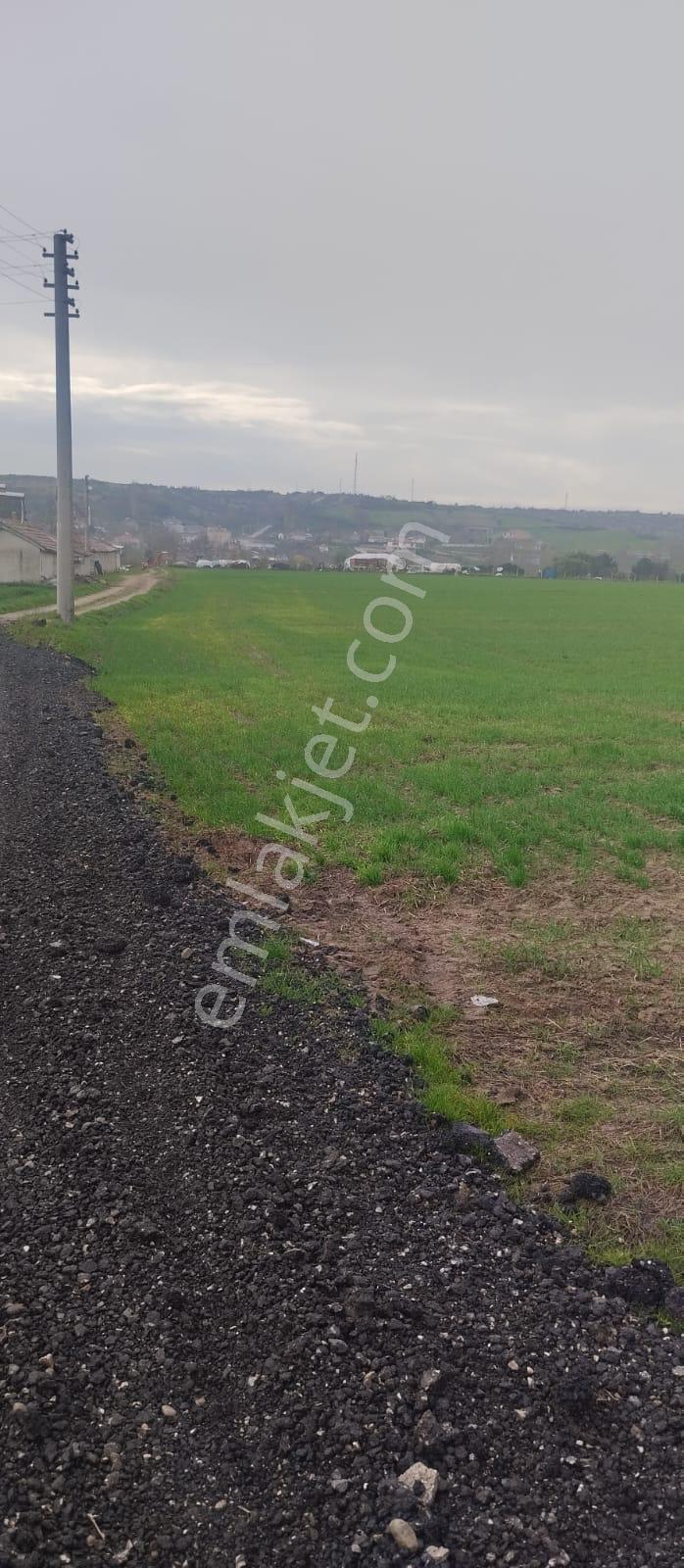 1763 M2 İmarlı Arsa 2.5 Kat İnşaat Altyapı Hazır Kaçmaz Fırsat - Görsel 4
