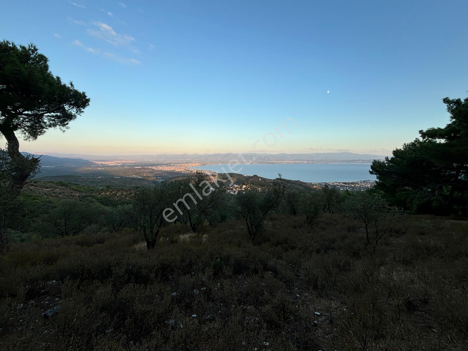 ⚠ Gfa Grup’tan Çamlıbelde Panoramik Deniz Manzaralı 19 Dönüm Zeytinlik⚠ - Görsel 3