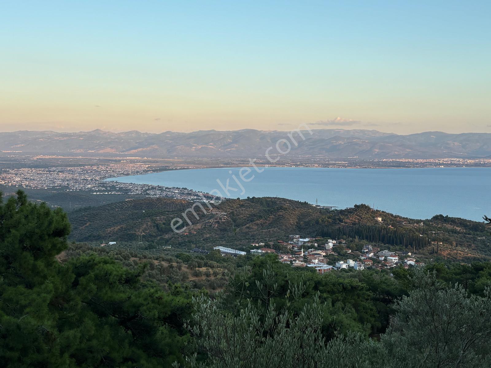 ⚠ Gfa Grup’tan Çamlıbelde Panoramik Deniz Manzaralı 19 Dönüm Zeytinlik⚠ - Görsel 12